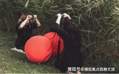 国产伊甸园,探寻东方梦幻乐园的奇幻之旅  第3张