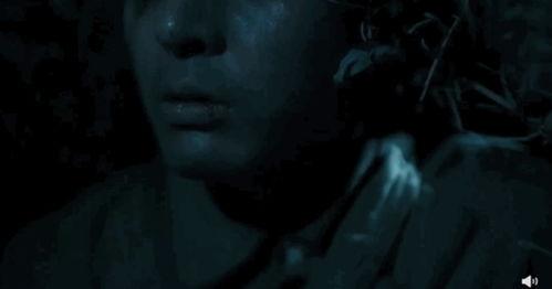 国产九一视频,探索中国科技与文化的创新融合  第3张