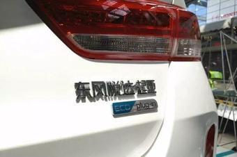 国产天天插  第3张